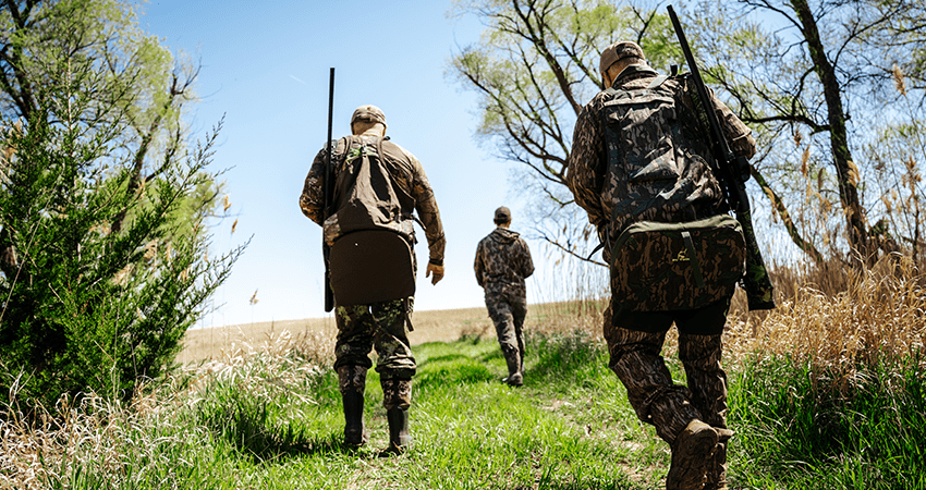 2 turkeys in an open grassy field