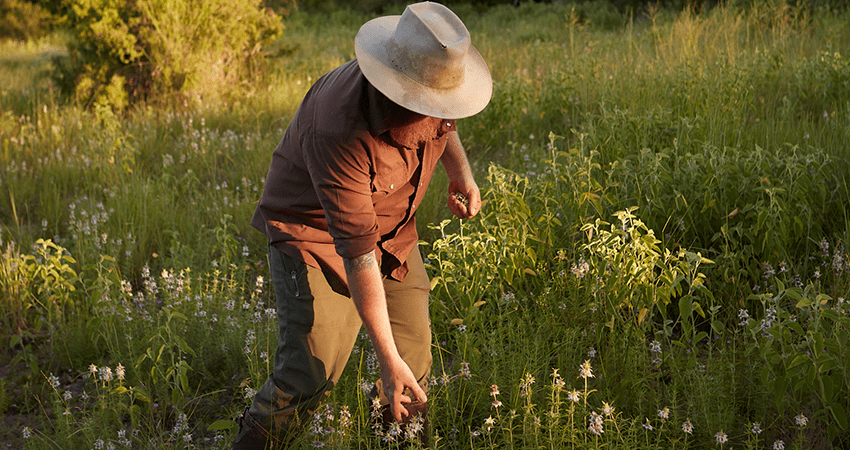 hunter spreading bait in a field