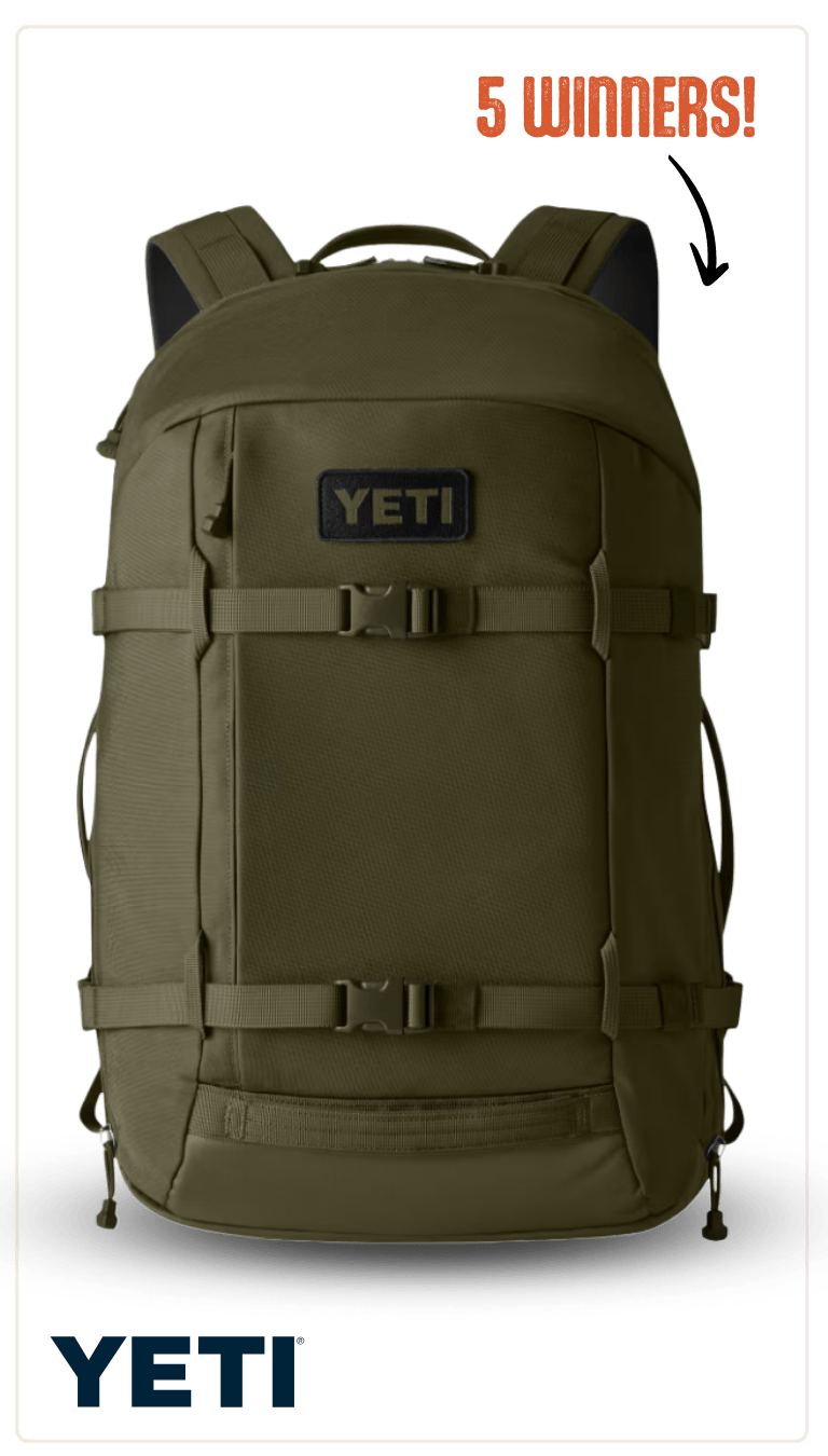 5 winners YETI 27L Backpack in Olive