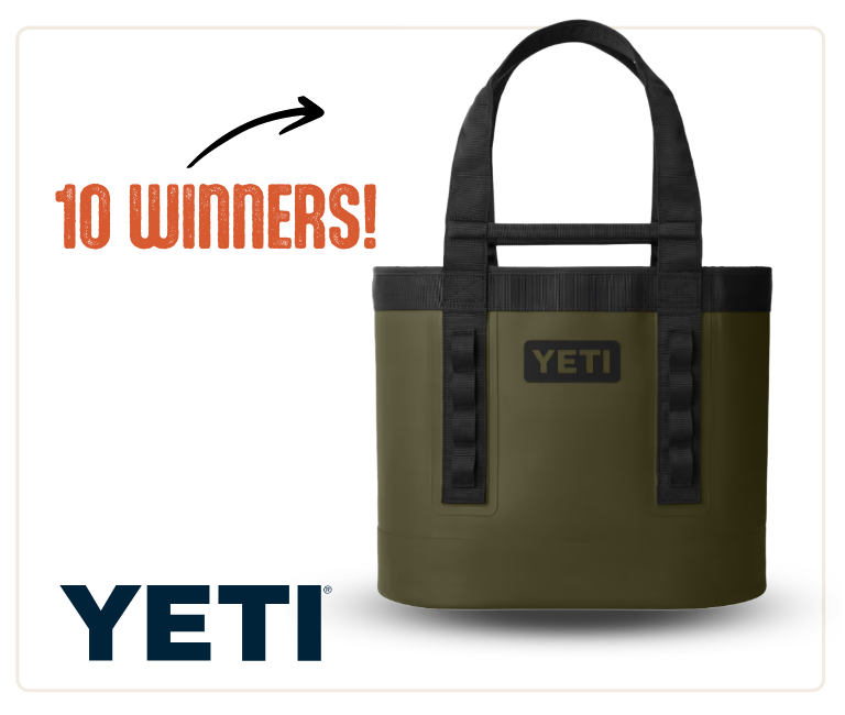 5 winners YETI carryall tote in wetlands brown