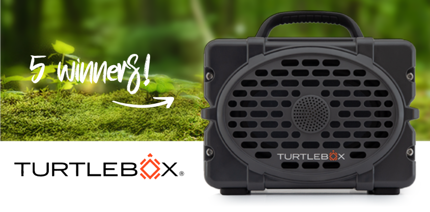 Turtlebox Gen 2 Speaker