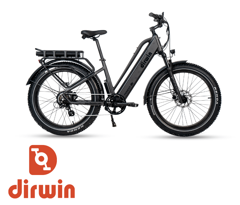 black electric bike