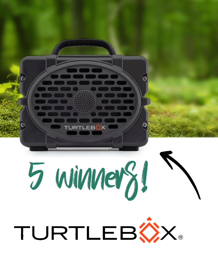 Turtlebox Gen 2 Speaker