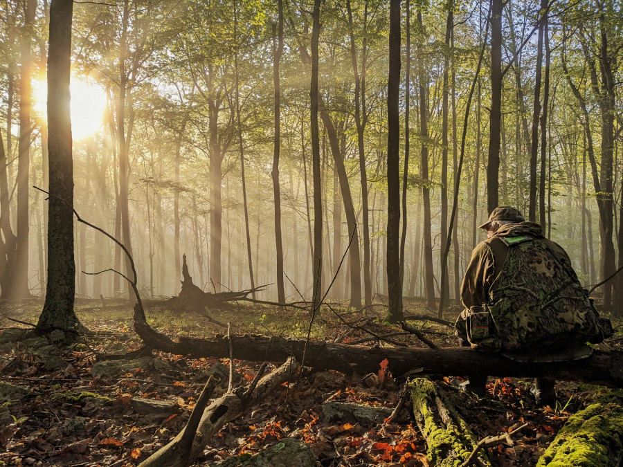 NWTF Photo Contest Account